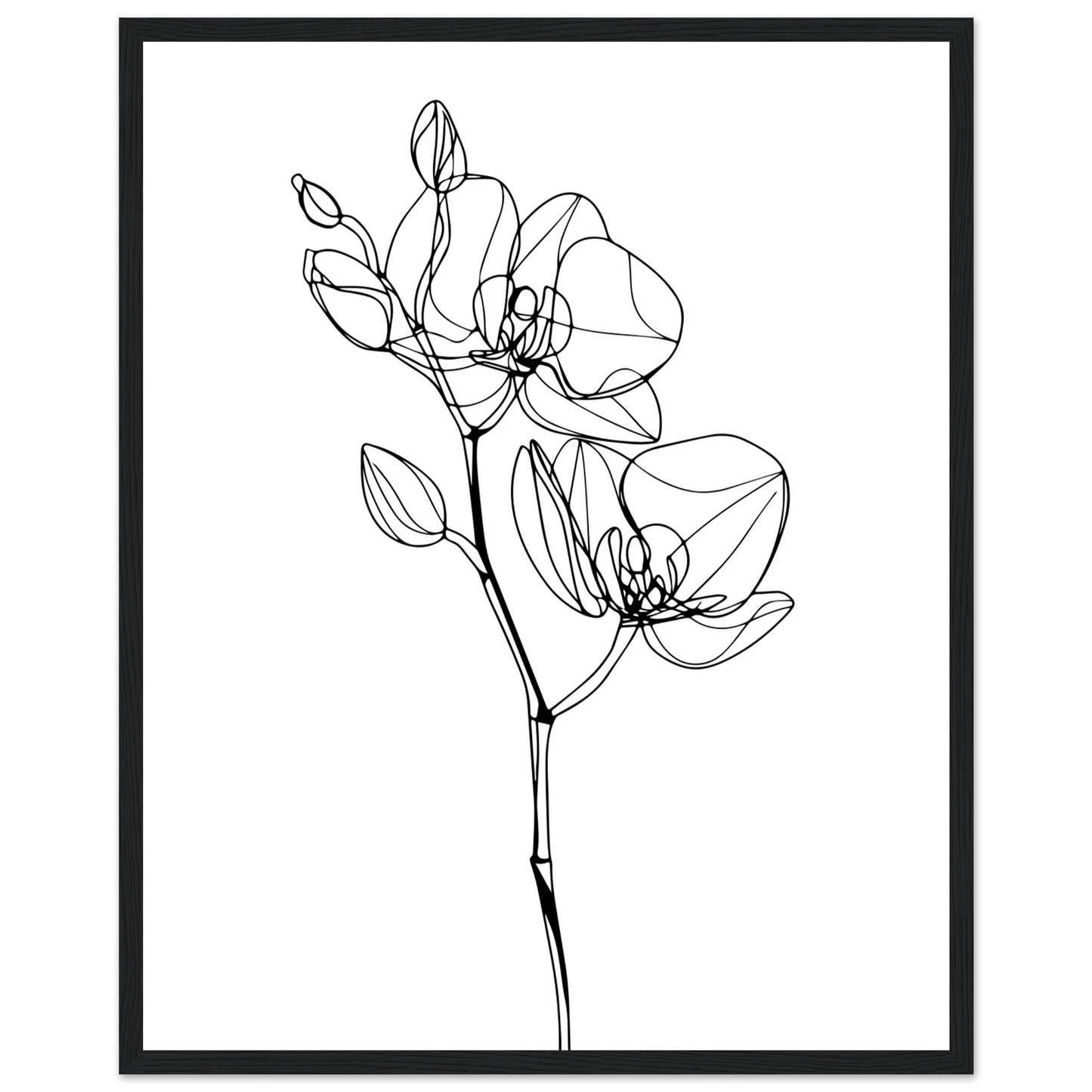 4b702328-ba87-4e1e-b586-d034559d4486