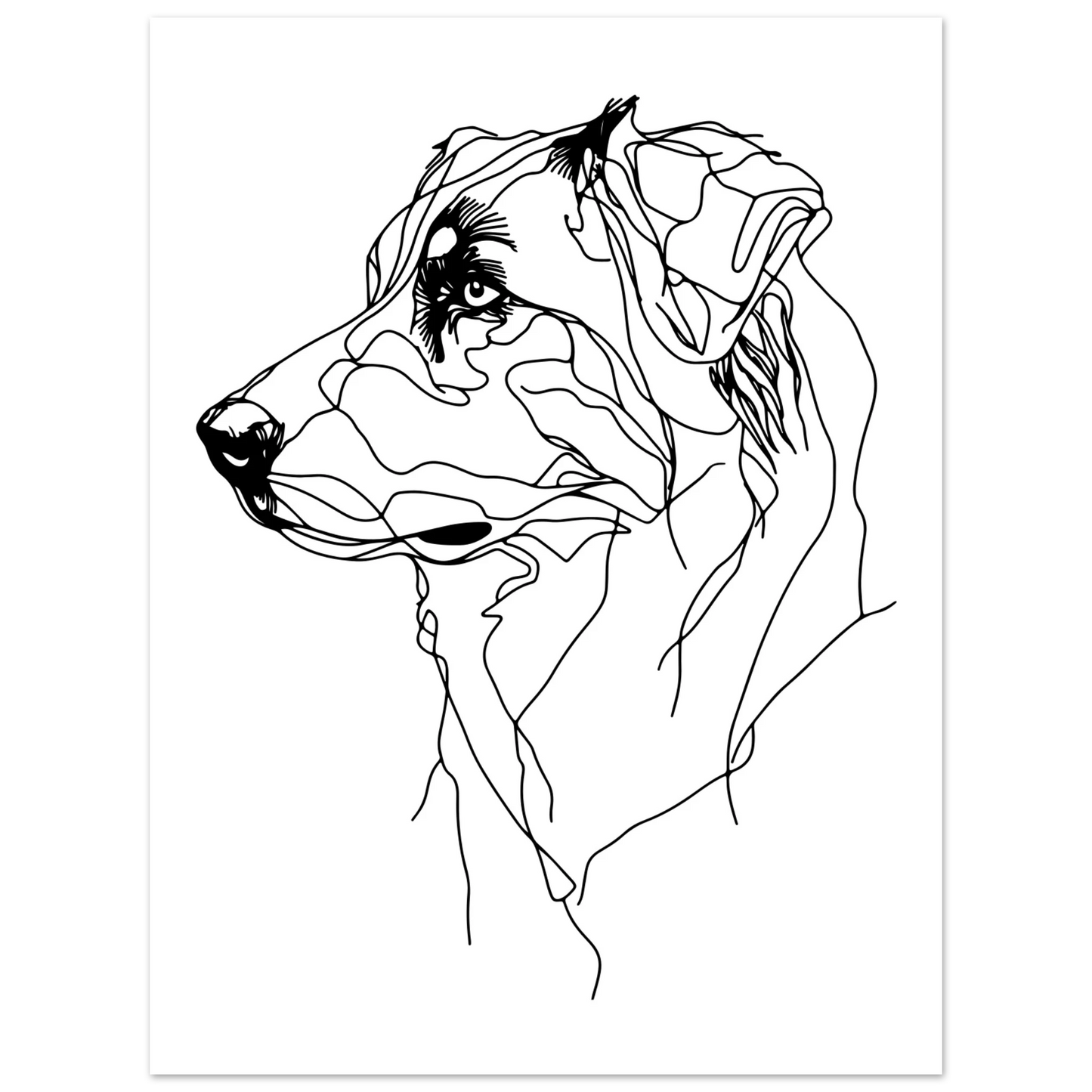 895bf902-cc2e-4452-bf2d-562ddadeabec